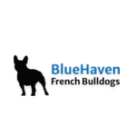 Bluehaven French Bulldogs